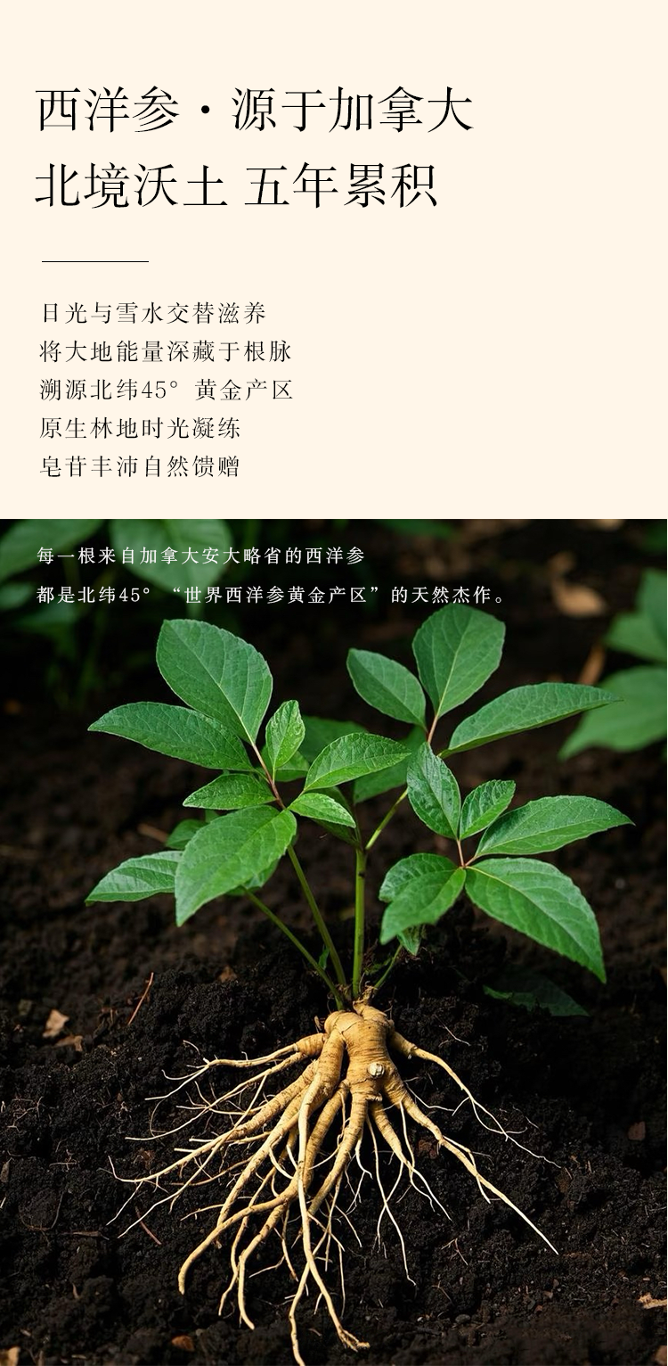 玉灵膏溯源图片1