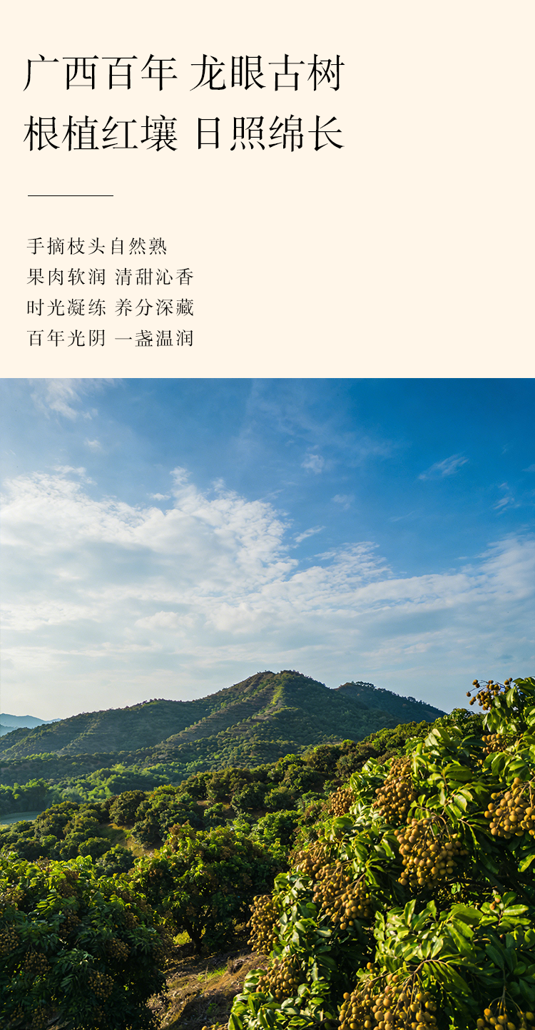 玉灵膏溯源图片2